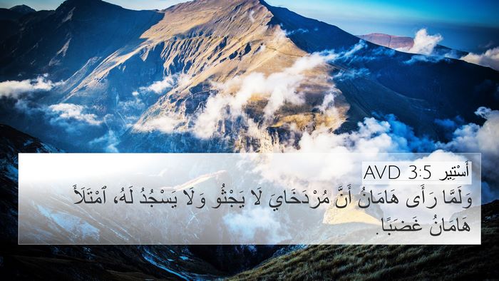 أَسْتِير 3:5 AVD Bible Verse Image
