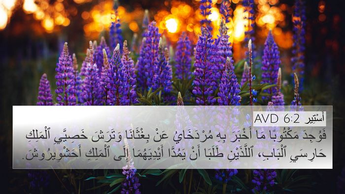 أَسْتِير 6:2 AVD Bible Verse Image