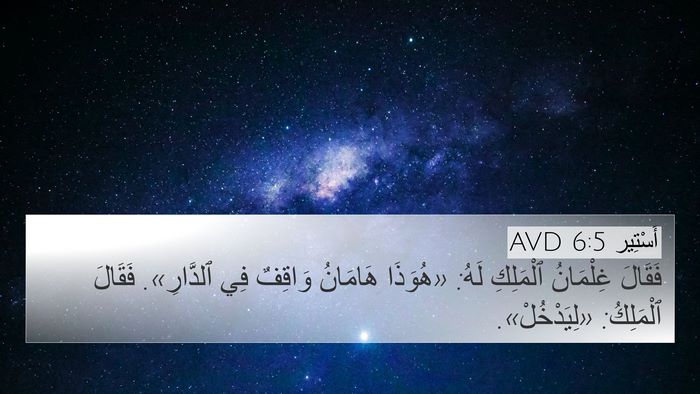 أَسْتِير 6:5 AVD 4K Wallpaper - فَقَالَ غِلْمَانُ - 4K Wallpaper Bible Verse