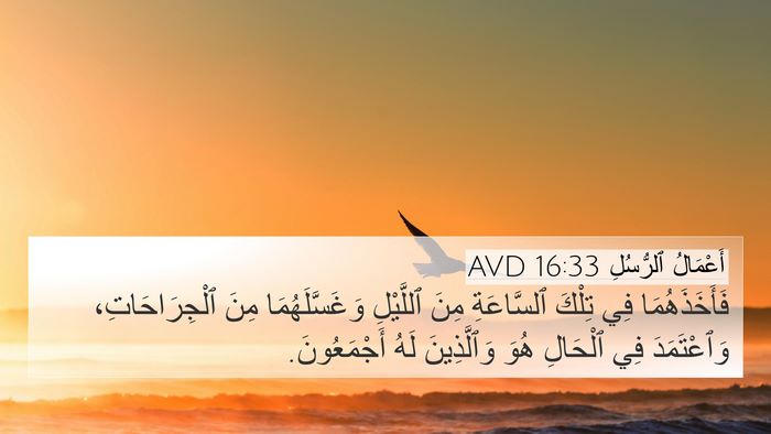 أَعْمَالُ ٱلرُّسُلِ 16:33 AVD Bible Verse Image