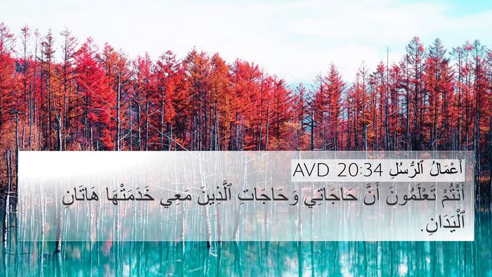 أَعْمَالُ ٱلرُّسُلِ 20:34 AVD Bible Verse Image