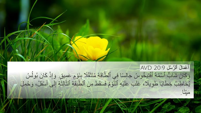 أَعْمَالُ ٱلرُّسُلِ 20:9 AVD Bible Verse Image