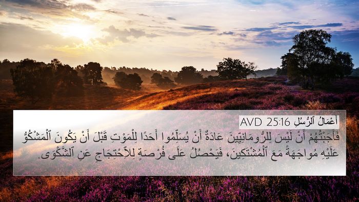 أَعْمَالُ ٱلرُّسُلِ 25:16 AVD Bible Verse Image