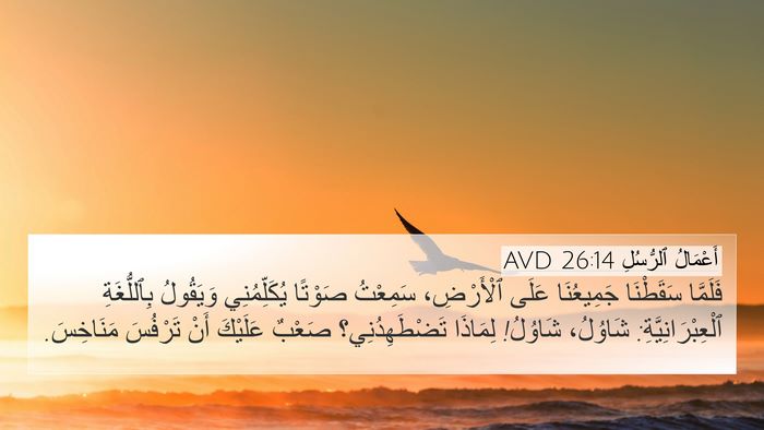 أَعْمَالُ ٱلرُّسُلِ 26:14 AVD Bible Verse Image
