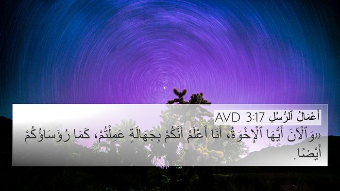 أَعْمَالُ ٱلرُّسُلِ 3:17 AVD Bible Verse Image