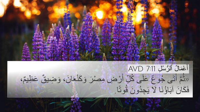 أَعْمَالُ ٱلرُّسُلِ 7:11 AVD Bible Verse Image