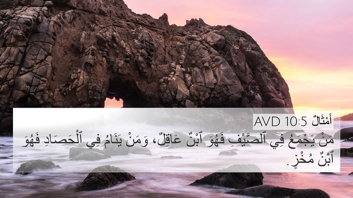 أَمْثَالٌ 10:5 AVD Bible Verse Image