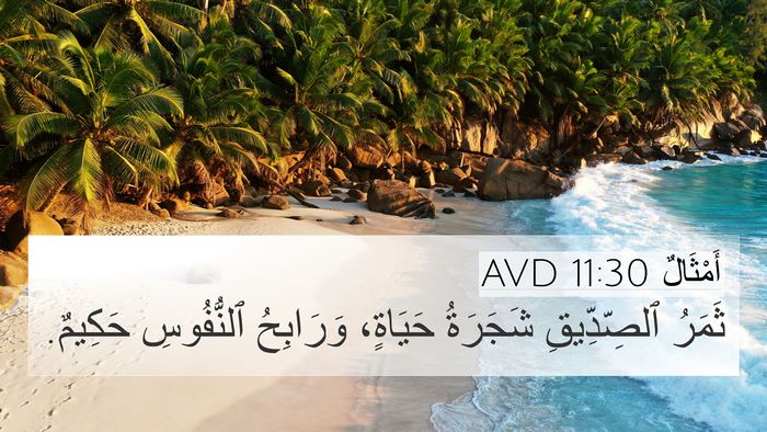 أَمْثَالٌ 11:30 AVD Bible Verse Image
