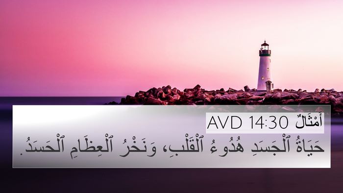 أَمْثَالٌ 14:30 AVD Bible Verse Image