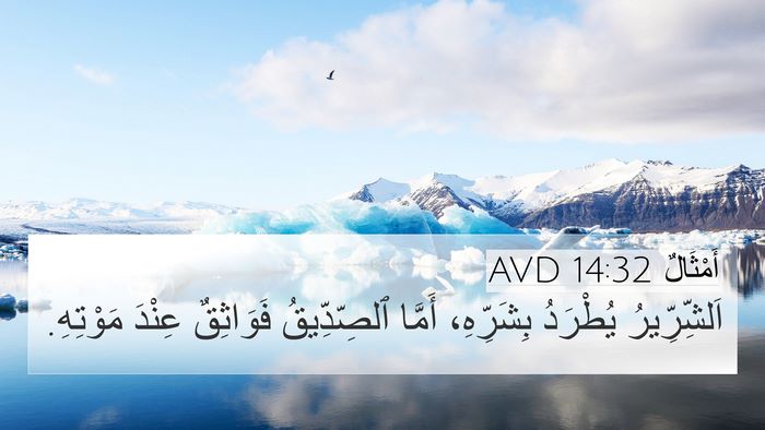 أَمْثَالٌ 14:32 AVD Bible Verse Image