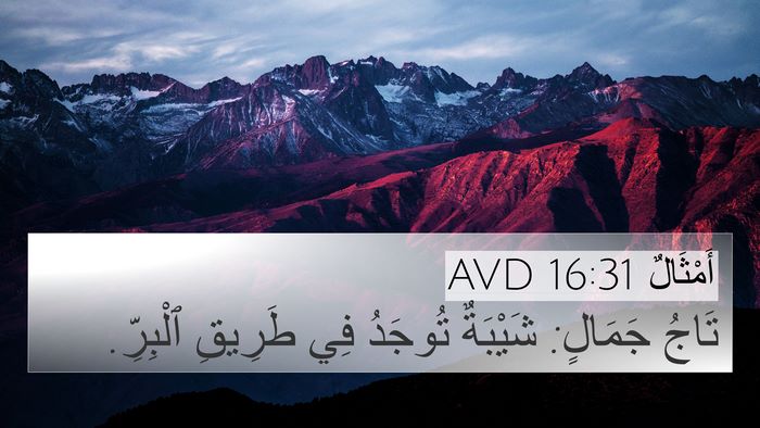 أَمْثَالٌ 16:31 AVD Bible Verse Image