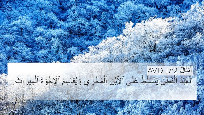 أَمْثَالٌ 17:2 AVD Bible Verse Image