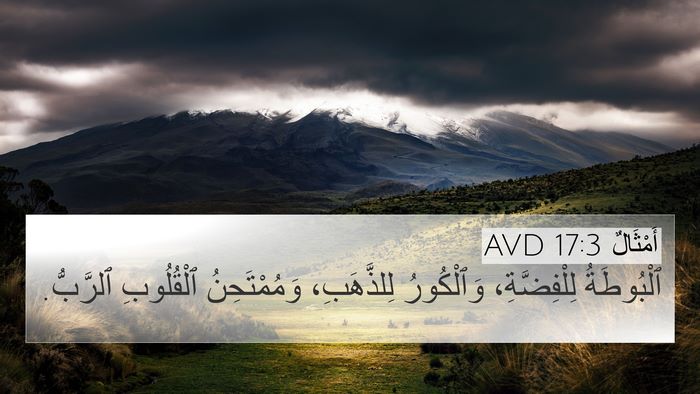 أَمْثَالٌ 17:3 AVD Bible Verse Image