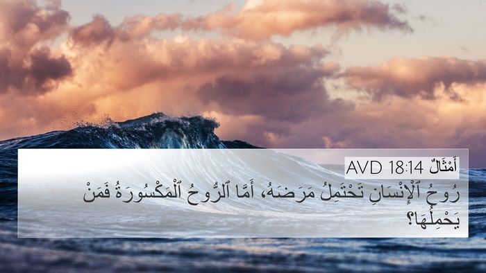 أَمْثَالٌ 18:14 AVD Bible Verse Image