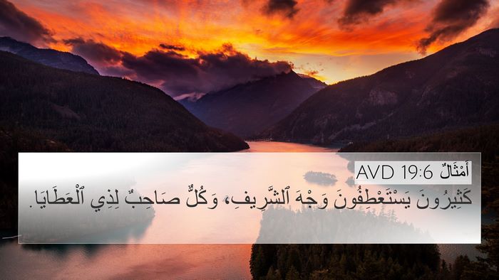 أَمْثَالٌ 19:6 AVD 4K Wallpaper - كَثِيرُونَ - 4K Wallpaper Bible Verse