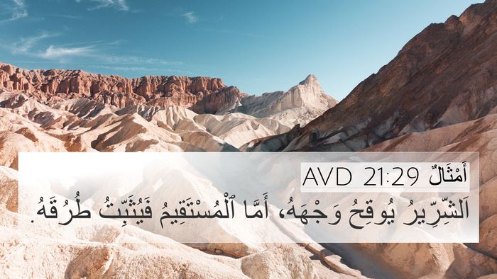 أَمْثَالٌ 21:29 AVD Bible Verse Image