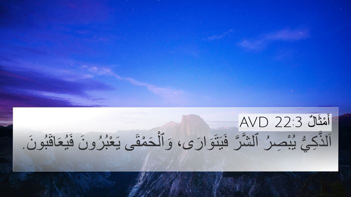 أَمْثَالٌ 22:3 AVD Bible Verse Image
