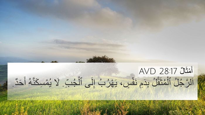 أَمْثَالٌ 28:17 AVD Bible Verse Image