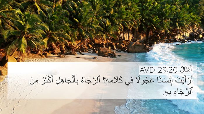أَمْثَالٌ 29:20 AVD Bible Verse Image