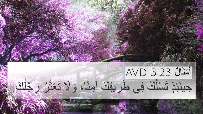 أَمْثَالٌ 3:23 AVD Bible Verse Image