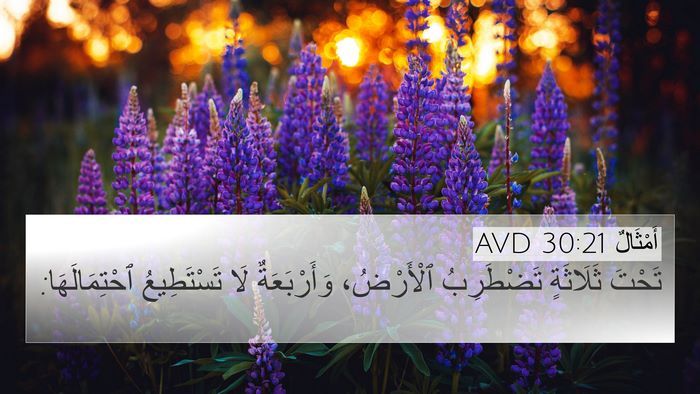 أَمْثَالٌ 30:21 AVD Bible Verse Image