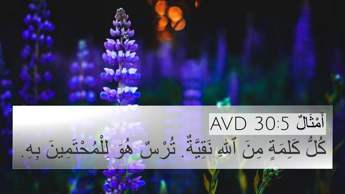أَمْثَالٌ 30:5 AVD 4K Wallpaper - كُلُّ كَلِمَةٍ مِنَ ٱللهِ - 4K Wallpaper Bible Verse