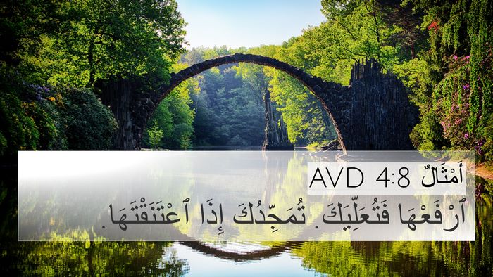 أَمْثَالٌ 4:8 AVD Bible Verse Image
