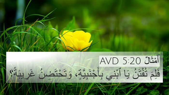 أَمْثَالٌ 5:20 AVD 4K Wallpaper - فَلِمَ تُفْتَنُ يَا ٱبْنِي - 4K Wallpaper Bible Verse
