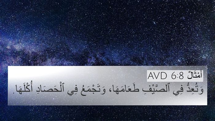 أَمْثَالٌ 6:8 AVD 4K Wallpaper - وَتُعِدُّ فِي ٱلصَّيْفِ - 4K Wallpaper Bible Verse