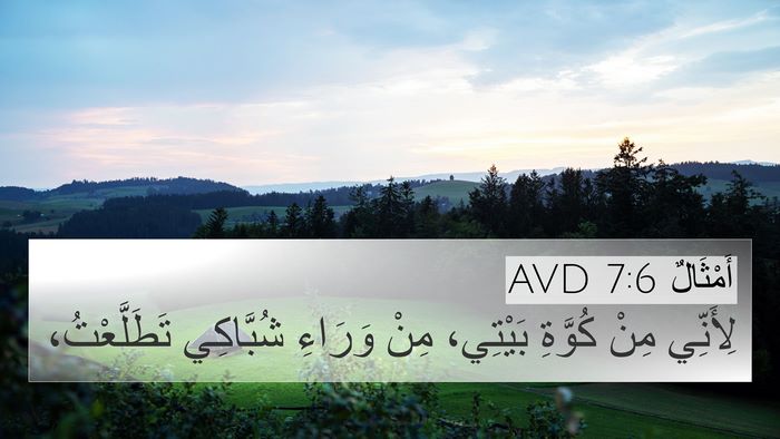 أَمْثَالٌ 7:6 AVD 4K Wallpaper - لِأَنِّي مِنْ كُوَّةِ - 4K Wallpaper Bible Verse