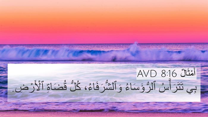 أَمْثَالٌ 8:16 AVD 4K Wallpaper - بِي تَتَرَأَّسُ - 4K Wallpaper Bible Verse
