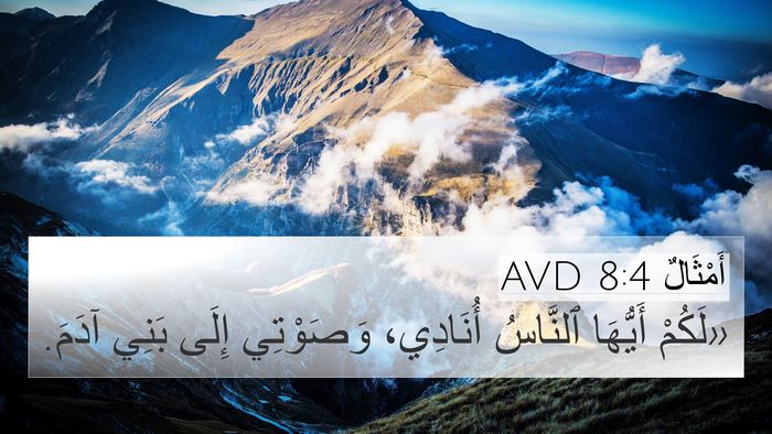 أَمْثَالٌ 8:4 AVD Bible Verse Image