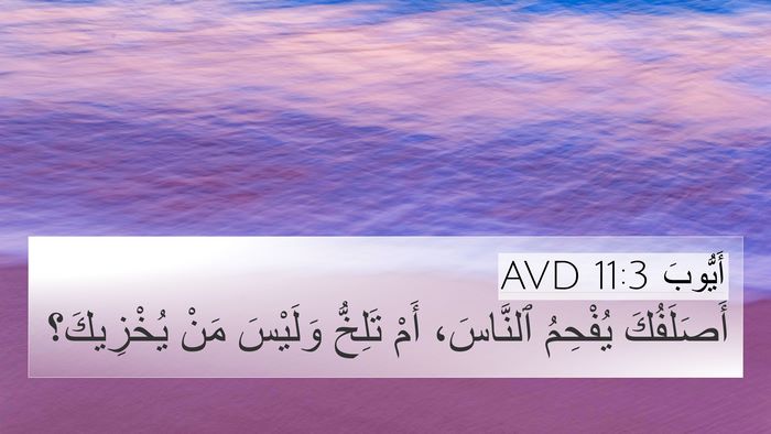 أَيُّوبَ 11:3 AVD Bible Verse Image