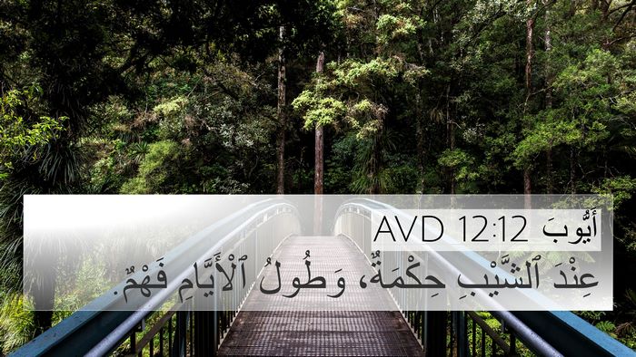 أَيُّوبَ 12:12 AVD Bible Verse Image