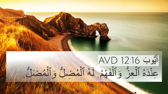 أَيُّوبَ 12:16 AVD Bible Verse Image