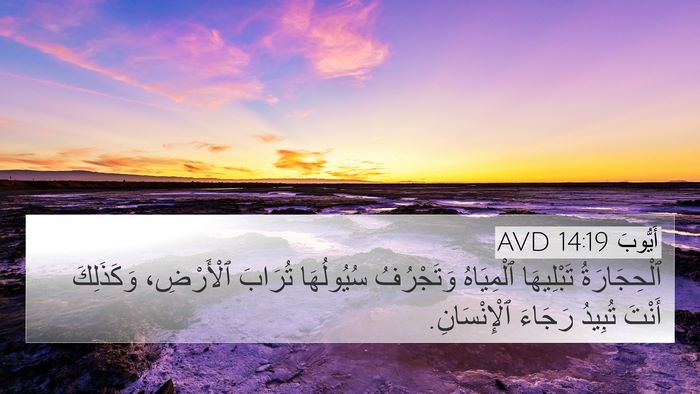 أَيُّوبَ 14:19 AVD Bible Verse Image