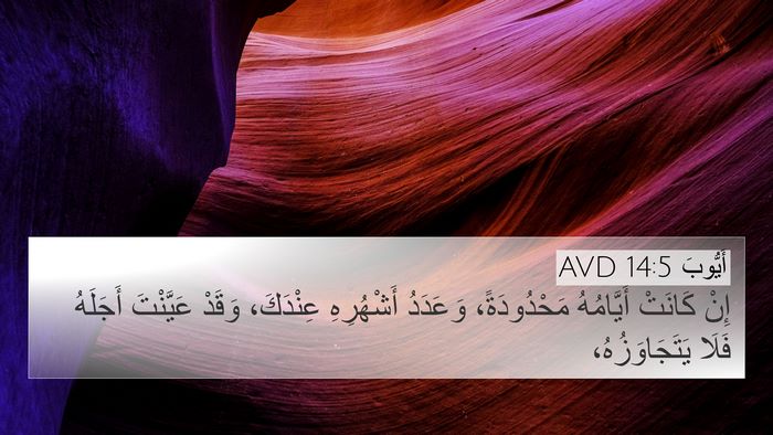 أَيُّوبَ 14:5 AVD Bible Verse Image