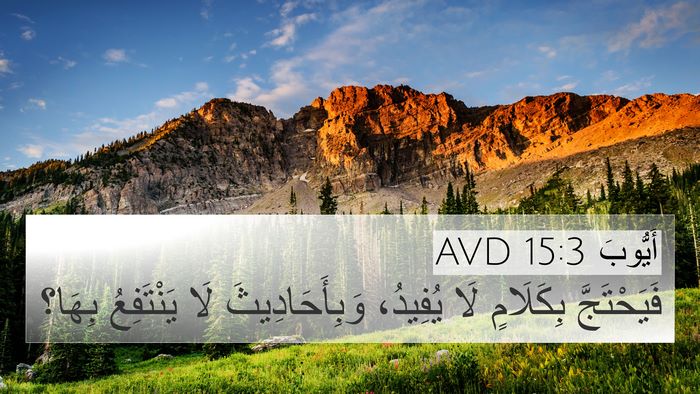 أَيُّوبَ 15:3 AVD Bible Verse Image