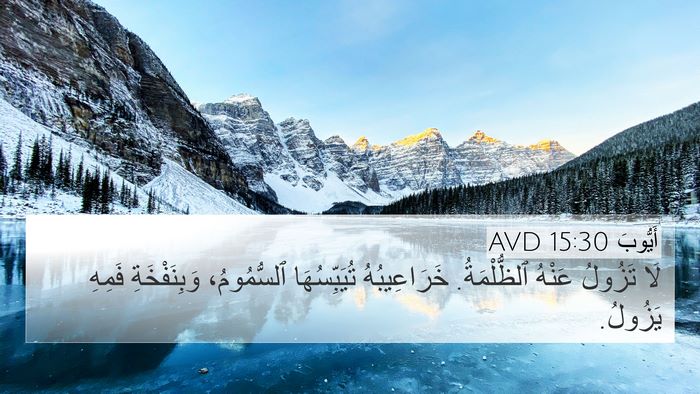 أَيُّوبَ 15:30 AVD Bible Verse Image