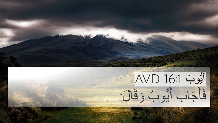أَيُّوبَ 16:1 AVD 4K Wallpaper - فَأَجَابَ أَيُّوبُ - 4K Wallpaper Bible Verse