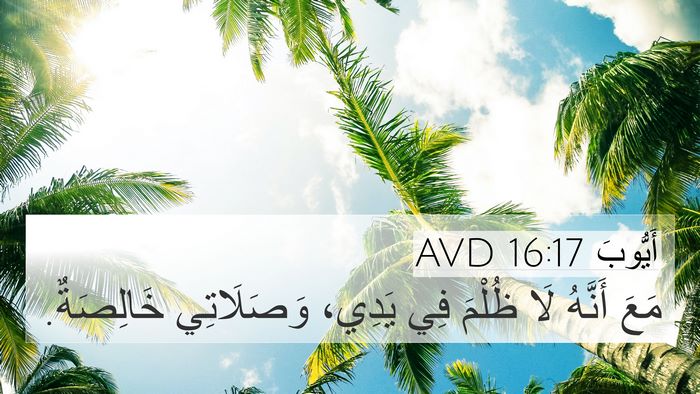 أَيُّوبَ 16:17 AVD Bible Verse Image