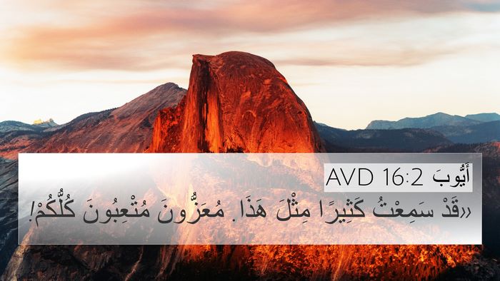 أَيُّوبَ 16:2 AVD Bible Verse Image