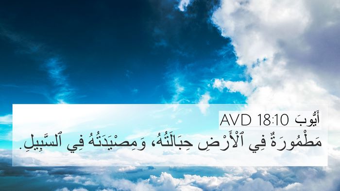 أَيُّوبَ 18:10 AVD 4K Wallpaper - مَطْمُورَةٌ فِي ٱلْأَرْضِ - 4K Wallpaper Bible Verse
