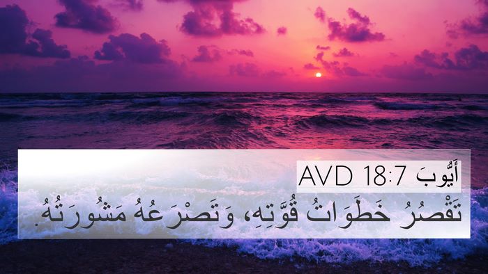 أَيُّوبَ 18:7 AVD Bible Verse Image