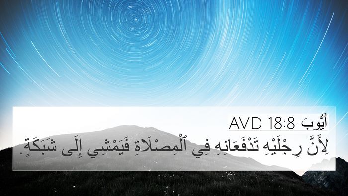 أَيُّوبَ 18:8 AVD Bible Verse Image