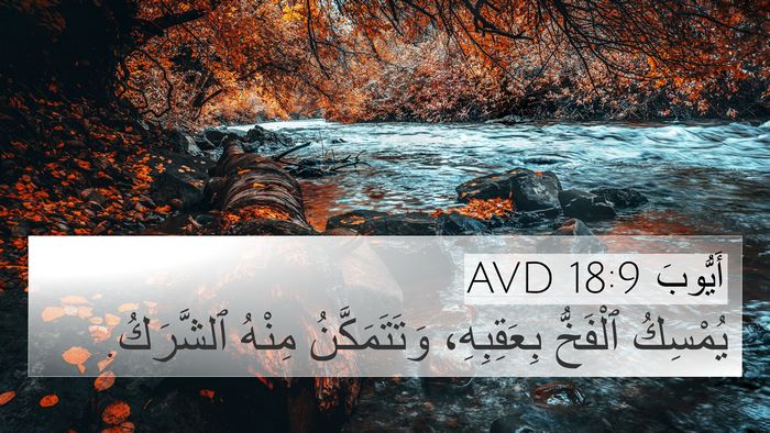 أَيُّوبَ 18:9 AVD 4K Wallpaper - يُمْسِكُ ٱلْفَخُّ - 4K Wallpaper Bible Verse