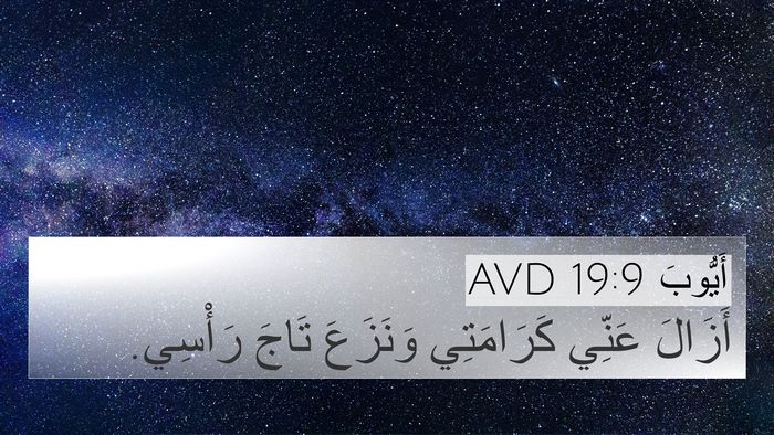 أَيُّوبَ 19:9 AVD Bible Verse Image