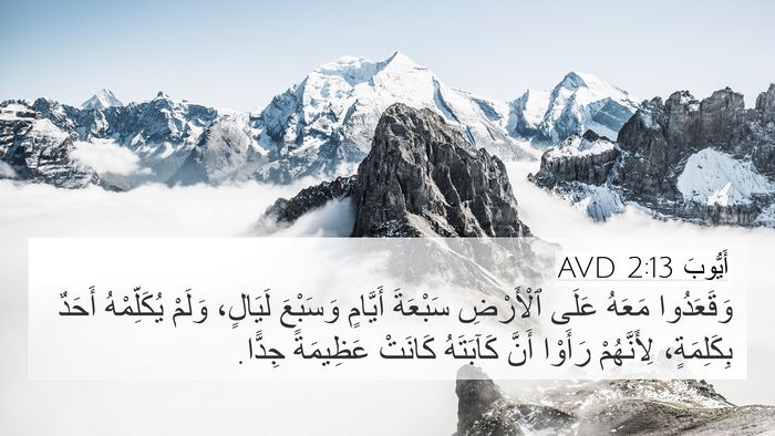 أَيُّوبَ 2:13 AVD Bible Verse Image
