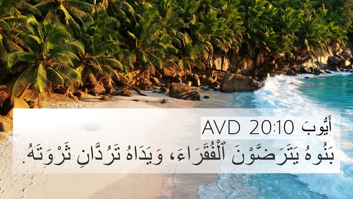 أَيُّوبَ 20:10 AVD Bible Verse Image