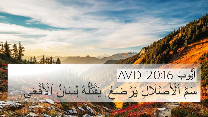 أَيُّوبَ 20:16 AVD Bible Verse Image